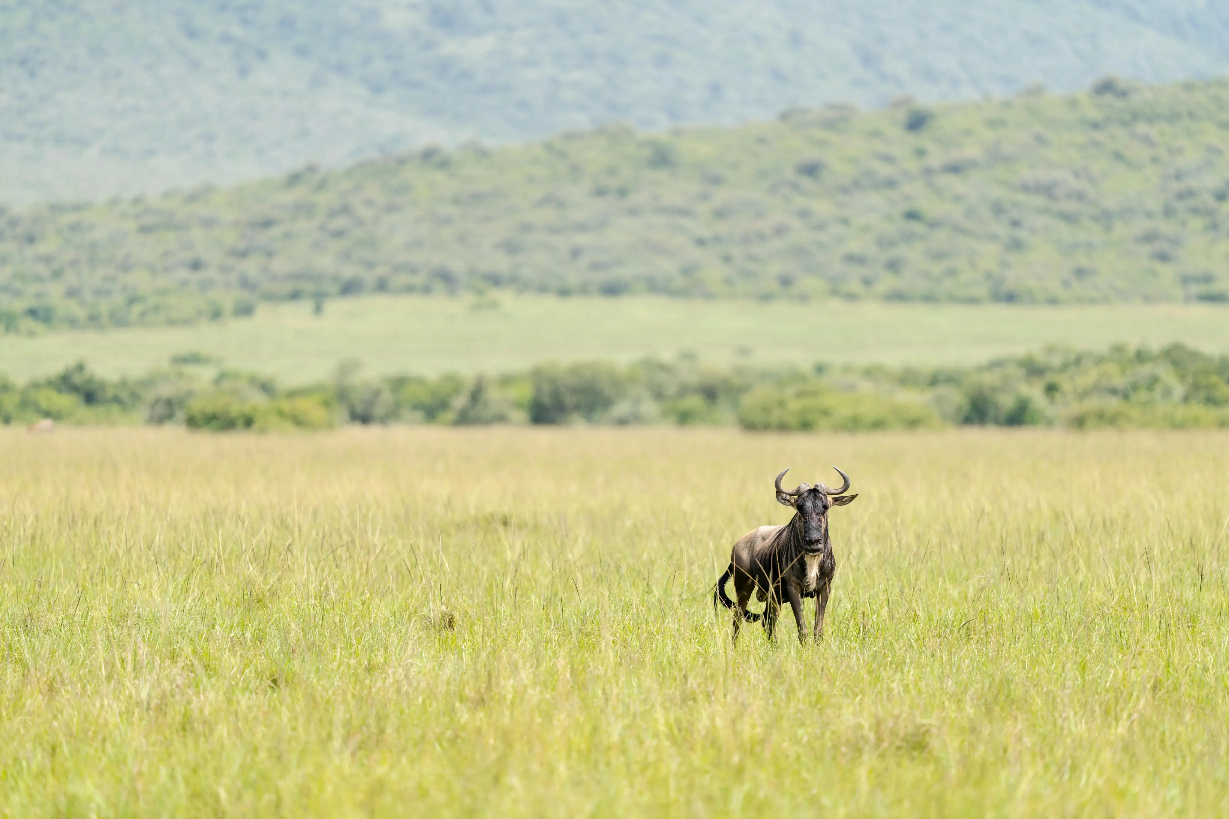 Arusha National Park